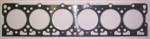 Ford Cargo Head Gasket only